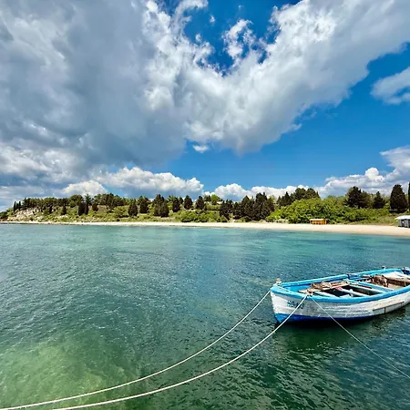 Vibes Flat 4 You, Sunny Σάνι Μπιτς