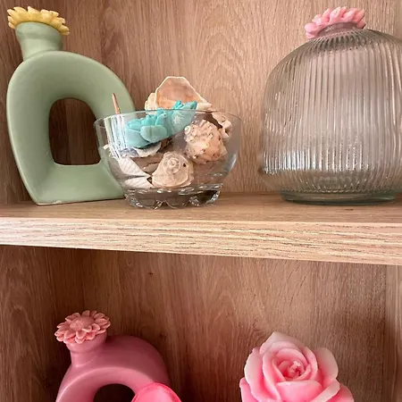 Vibes 4you, Sunny Sunny Beach