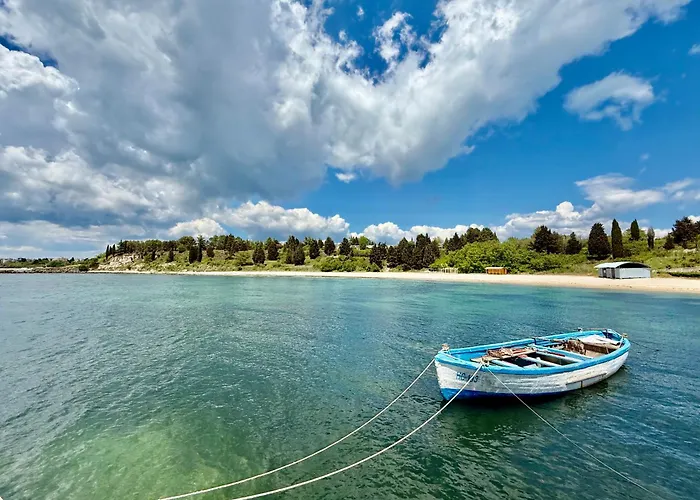 Vibes 4you, Sunny Slăntjev Brjag