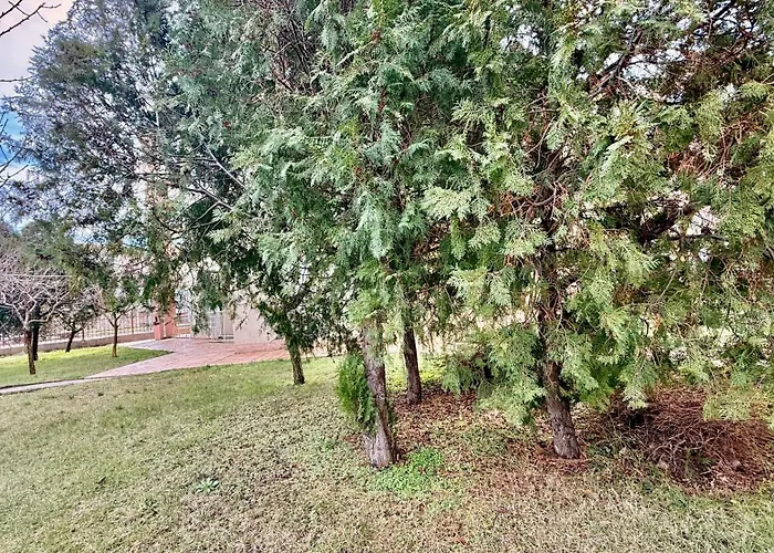 Lägenhet Vibes 4you, Sunny