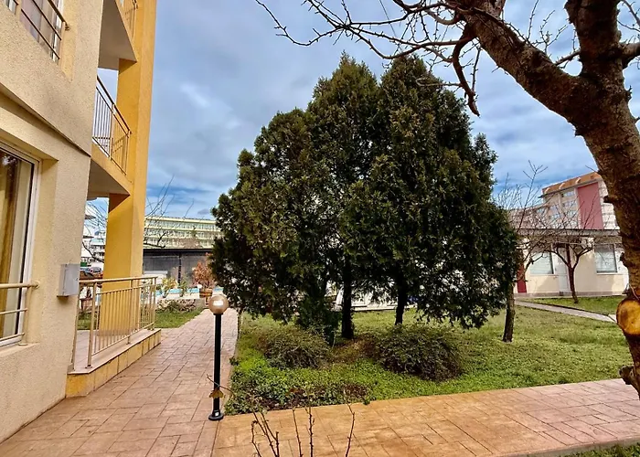 Vibes 4you, Sunny Slăntjev Brjag