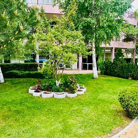 Vibes 4you, Sunny * Sunny Beach