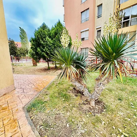 Vibes 4you, Sunny Sunny Beach