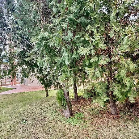 Apartament Vibes 4you, Sunny