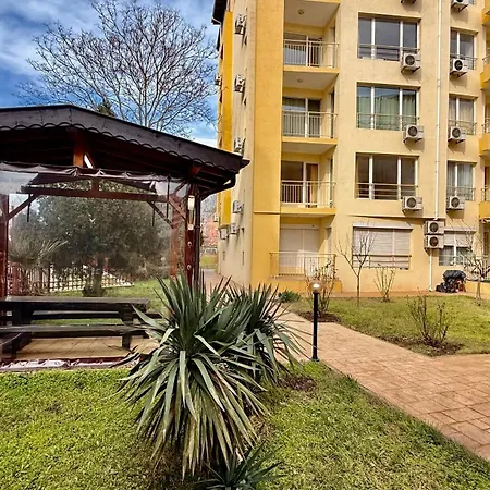 Vibes 4you, Sunny Sunny Beach