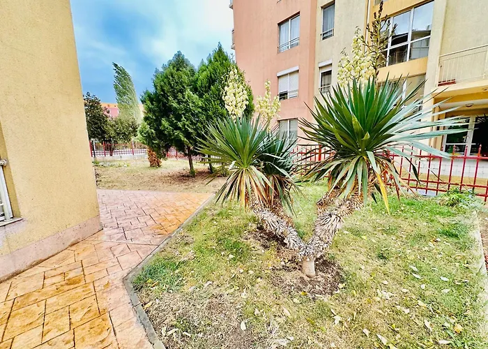 Vibes 4you, Sunny Słoneczny Brzeg